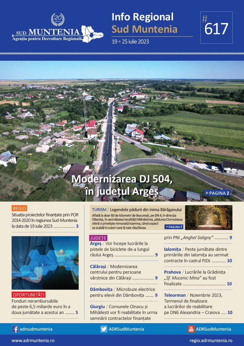 A apărut buletinul informativ Info Regional Sud Muntenia nr. 617