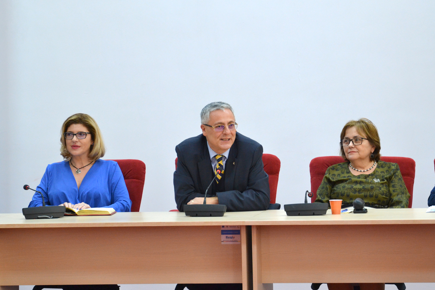 ADR Sud Muntenia – Conferință de prezentare a Raportului anual privind implementarea POR